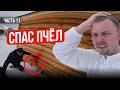 Сбежал с Офиса на Пасеку! Что из Этого Вышло? Строю Пасеку с Нуля | Серия 11