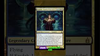 Ravnica part 9 - Dimir #mtg #mtghistory