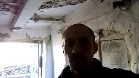 Совместное содержание перепелов и кур в одном сарае.Плюсы/Минусы.Личное мнение!