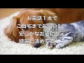 あいみんペットメモリアル