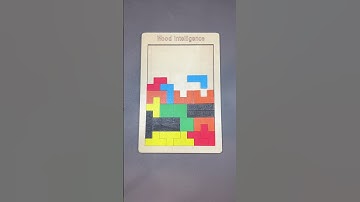 Challenge the wooden Tetris block puzzle #woodenpuzzle #puzzle #tetris