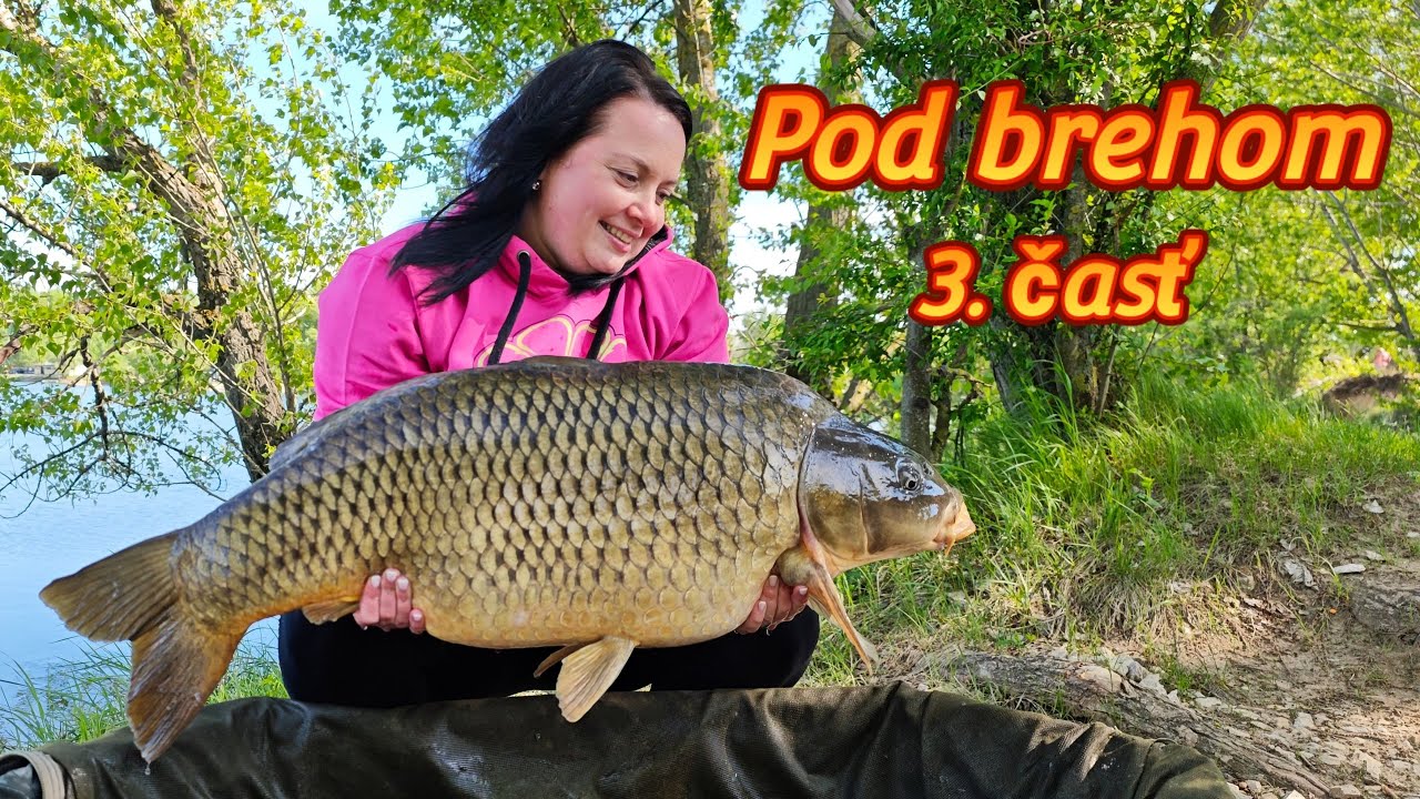 Dá sa uloviť velký kapor 1m od brehu ❓❓❓ Lov kapra pod brehom 3. časť 🍀💚🎣