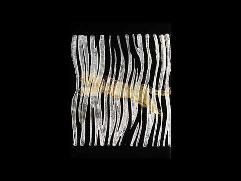 Evitceles — Evitceles - Never Young [ACCENTLP002]