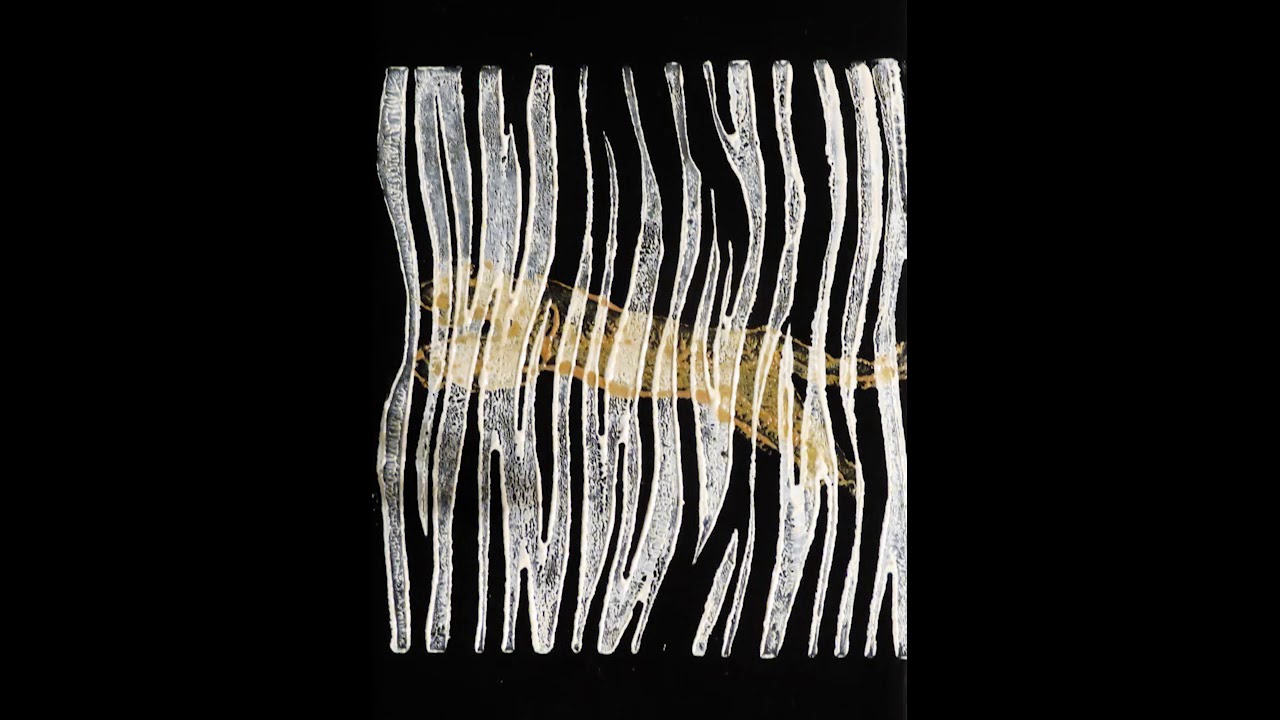 Evitceles - Never Young [ACCENTLP002]