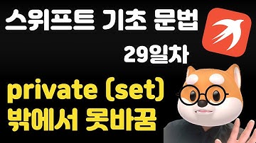 스위프트 기초 문법 - 29일차 / private(set)