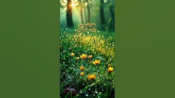 #سورة_البقرة #اكسبلور #لايك #قرآن #شعر #ترندتيكتوك #nature #duet #تيك_توك #حالات_واتس
