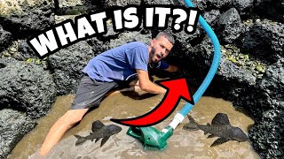 WHAT DID WE FIND LIVING IN THIS BLACK TAR WATER?!