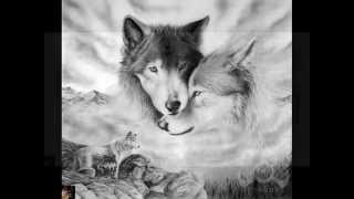 Adrian von Ziegler-Wolf Blood (Celtic Music)