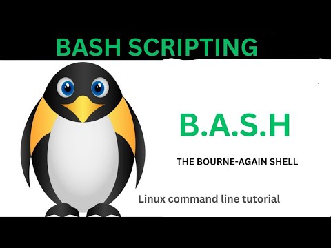 Introduction Into Bash Scripting For Beginners