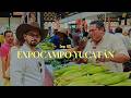 EXPOCAMPO YUCATAN 2026