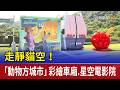 走靜貓空！ 「動物方城市」彩繪車廂.星空電影院