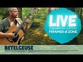 Dadgadguitar betelgeuse  live chitarra acustica calonego