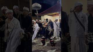 Download Lagu Celuluk mesolah #shorts #celuluk #mask #maskdance #kerauhan #culture #ritual #balisakral #dance #art MP3