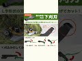 え!? こんなに刈れるの!!ハイガーの自走式草刈機🌱