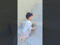 dasai rwankari mashoman ramenshan kai