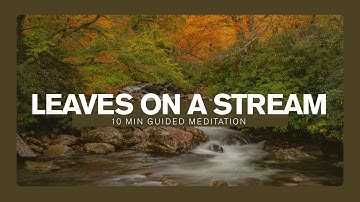Guided Meditation: Leaves on a Stream (10 minutes)