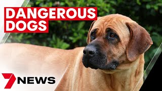 Recommended laws could see  jail time for dangerous dog owners and five breeds banned | 7NEWS