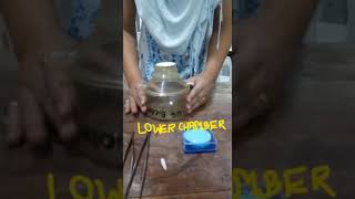 Demo : filter sterilization assembly
