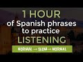 1 HOUR OF SPANISH PHRASES: LISTENING PRACTICE FOR BEGINNERS || LEARN SPANISH CONVERSATION