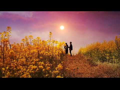 우연처럼 인연처럼 운명처럼 김 기태