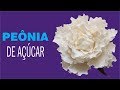 Como fazer uma Flor Peônia em Massa de Flor de Açúcar