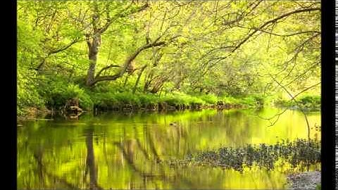 2 ما تيسر من سورة الإنسان و الإنفطار