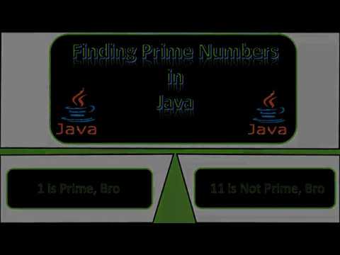 How to find Prime Numbers in Java | Coding With Tre'