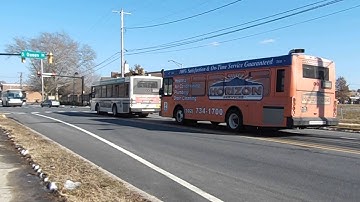 A Parade of DART Delaware Transit Corporation Gillig Advantages And An MCI D Series Near Dover Trans