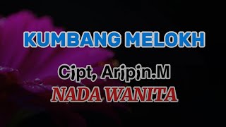 Kumbang Melokh nada Wanita Cipt Aripinm  Lagu Ldanung Karaoke