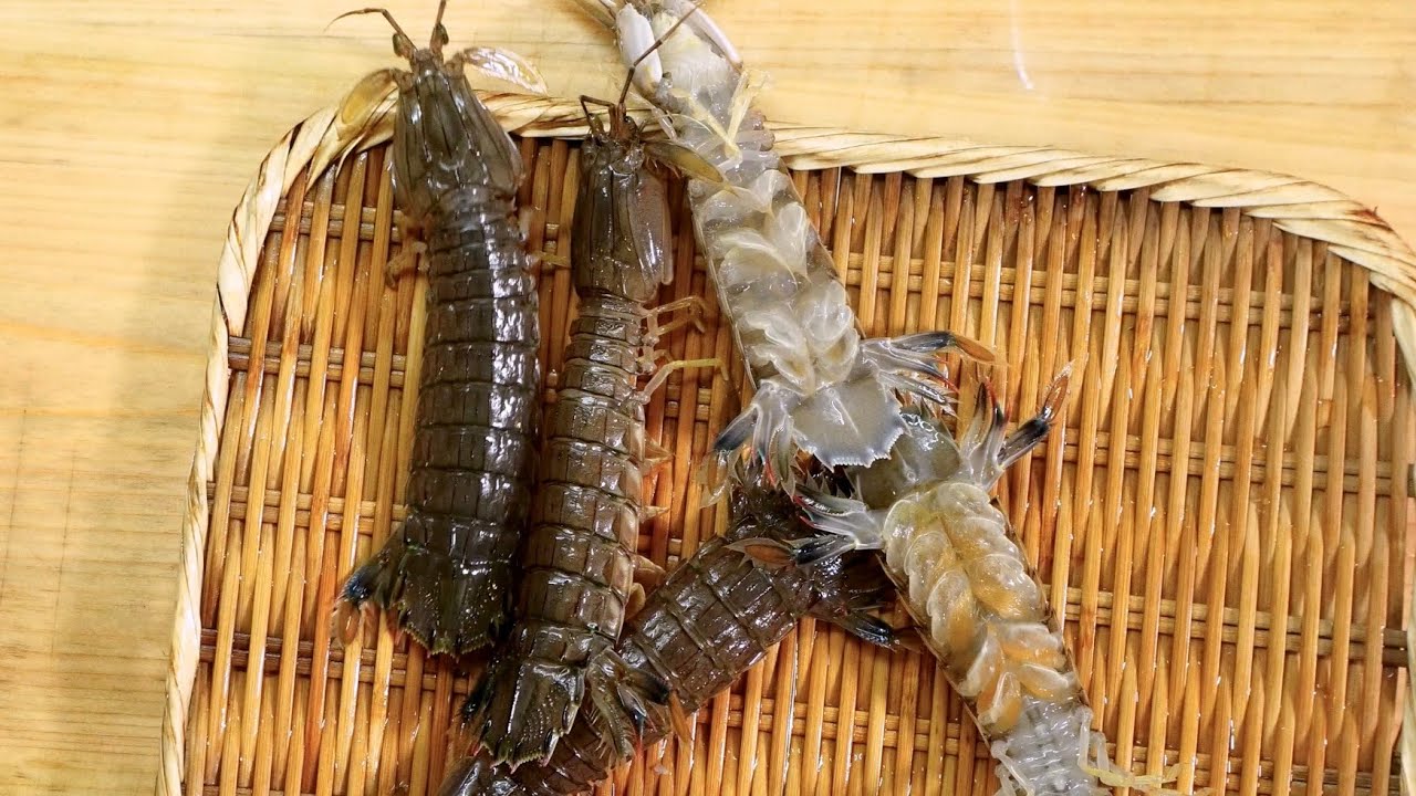 【活シャコ】茹でた後に氷水に通す?焼きシャコの茹で方・剥き方・焼き方 - YouTube