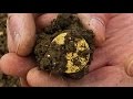 Gold George III Guinea Found Metal Detecting With XP Deus!