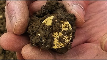 Gold George III Guinea Found Metal Detecting With XP Deus!