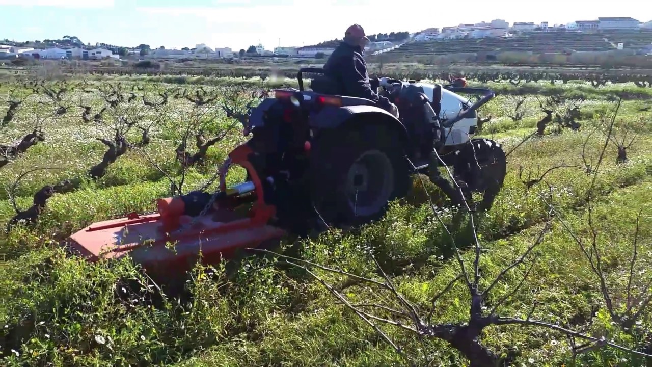 Entrega lamborghini Ego 55 con desbrozadora