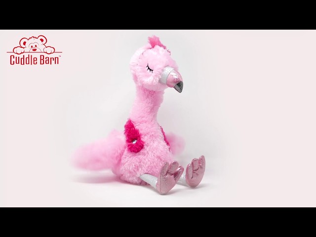 Cuddle Barn - Fun Times Fiona - YouTube