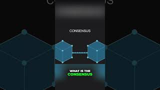 Blockchain Forks Explained: What is Consensus? #shorts