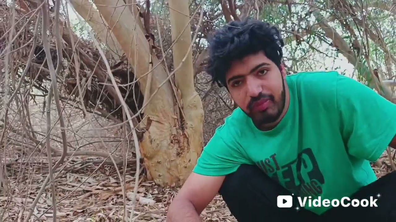 العثور على الفطر بكميات غير طبيعيه #2🔥🔥🍄