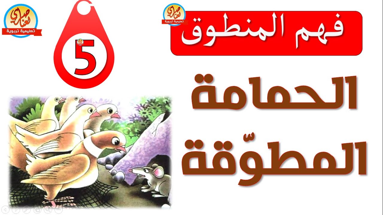 الحمامة المطوقة نص فهم المنطوق