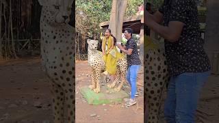 Animal's 🦏 🦓 🐆 Prank �...