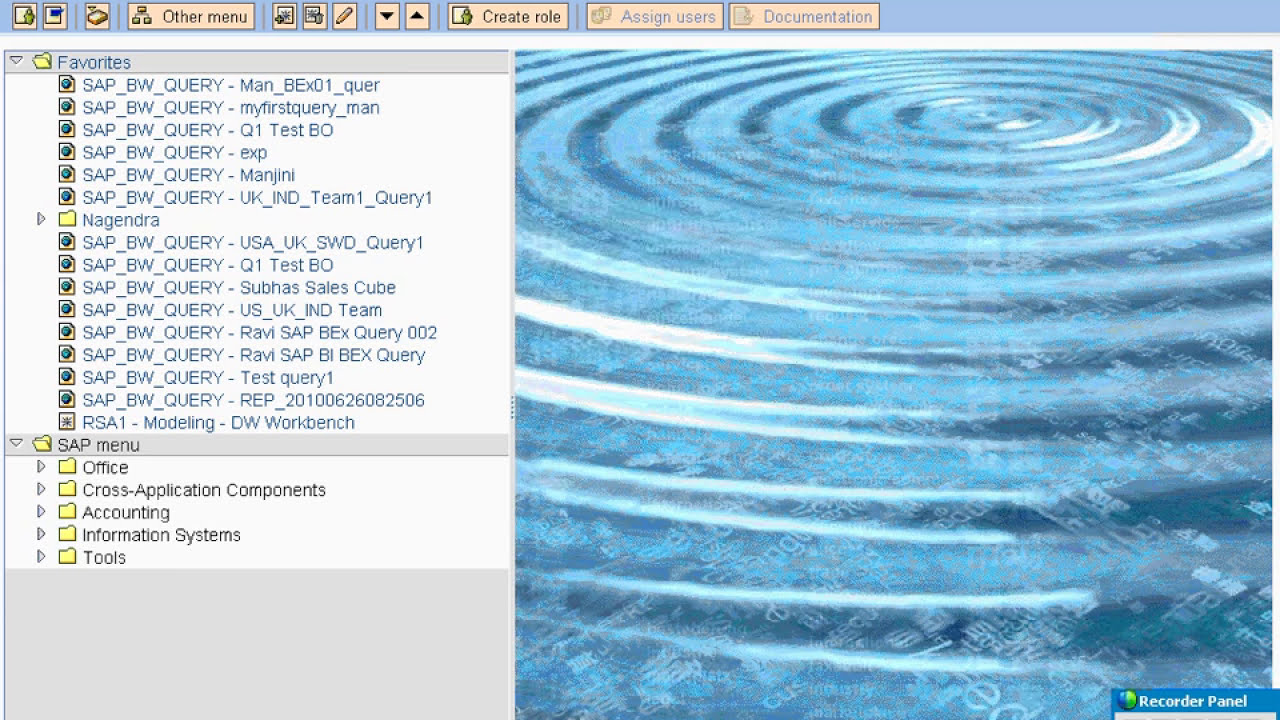 SAP BW Tutorials for Beginners | Loading Data Files .CSV,  ASCII