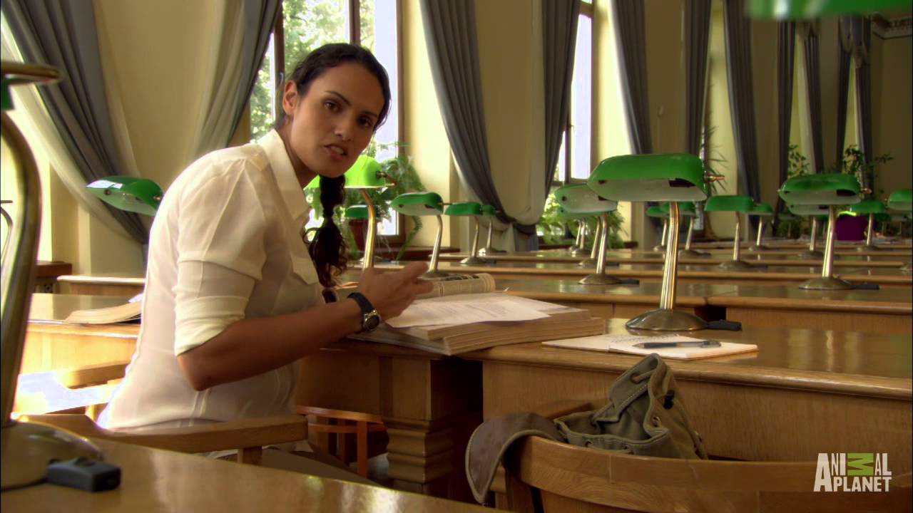 clips for crocs Dog Girl Footage | Raised Wild