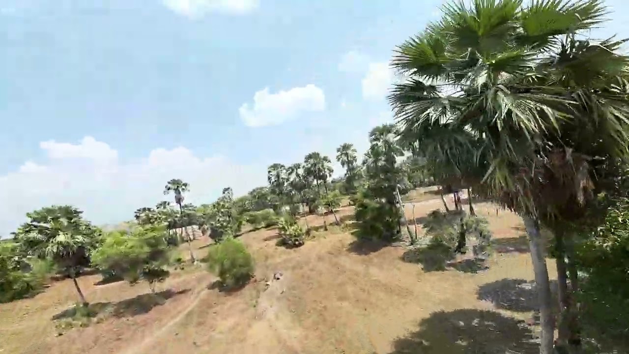 ที่ดินพี่มนูญ ปราจีน 2