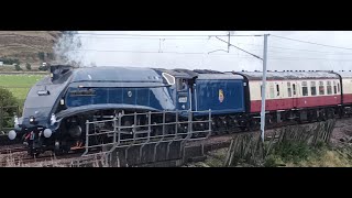 Sir Nigel Gresley Steam Locomotive In High-Speed Action On 15 Sep 25