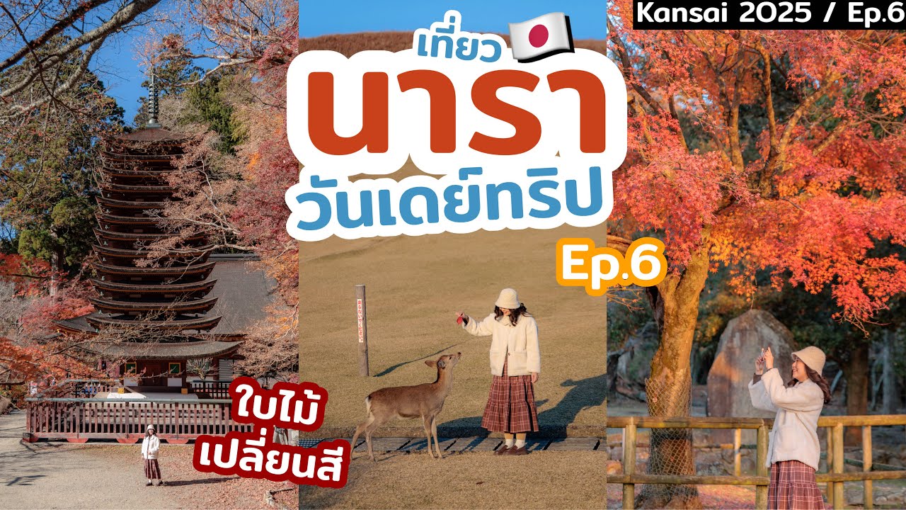 เที่ยวนารา วันเดย์ทริปเที่ยว นารา เที่ยวศาลเจ้าและวัดสุดอันซีน ช่วงใบไม้เปลี่ยนสี