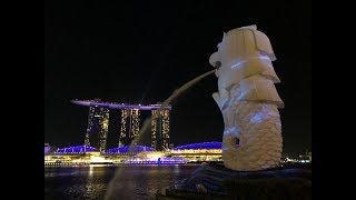 MERLION PARK Night lighting SINGAPORE 2018