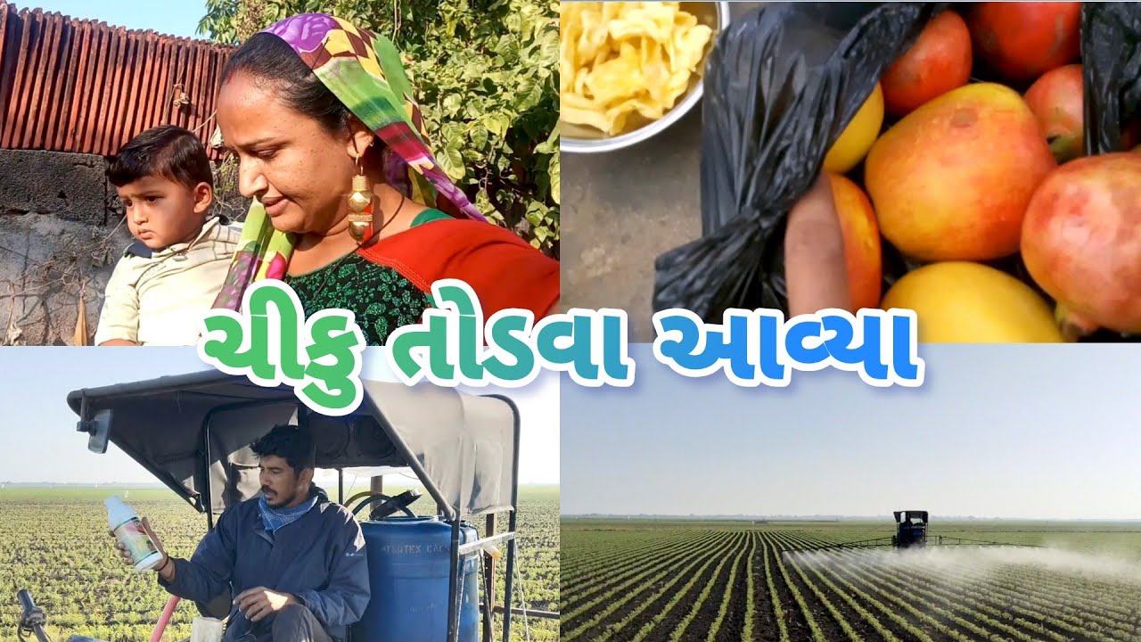 ઘેડ માં દવા છાંટવા ની રીત 🌾🏔️