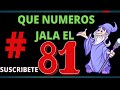 🤑 QUE NUMEROS JALA EL 81 🔥 NUMEROS QUE JALA O ATRAE EL 81