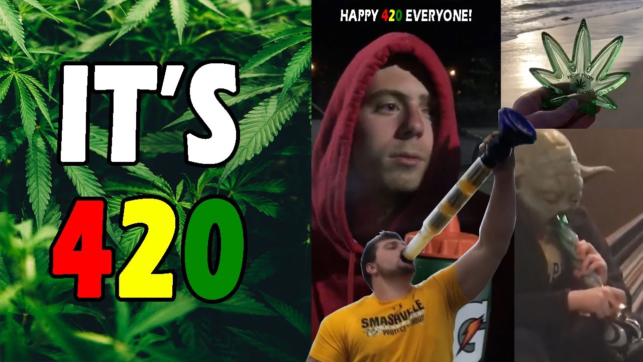 WEED MEMES & Fail Compilation [#56] - Fatally Stoned