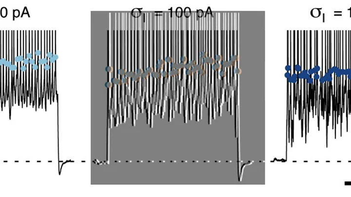 884B7A2498C5C5CCFB84FF5C05D375#2