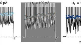 884B7A2498C5C5CCFB84FF5C05D375#2