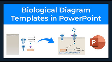 How to Draw Biological Diagrams using PowerPoint Templates